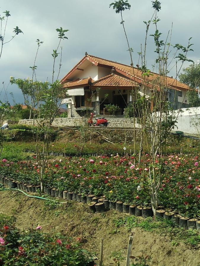 באטו Shanty'S House מראה חיצוני תמונה